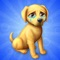 Cook Off: Pet Rescue is the latest and greatest cooking and pet rescue experience from the makers of the hit time management game Virtual Families: Cook Off