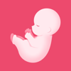 PregTracker: Pregnancy App - Digital Partner Group GmbH