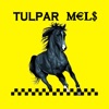 Taxi Tulpar Mels для клиента