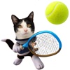 Kitty Tennis Game