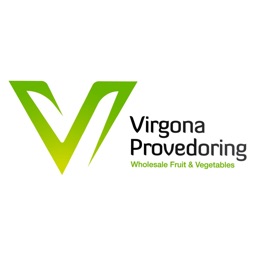 Virgona Provedoring