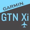Icon Garmin GTN Xi Trainer