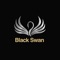 Presenting the brand new version of the Black Swan drive app