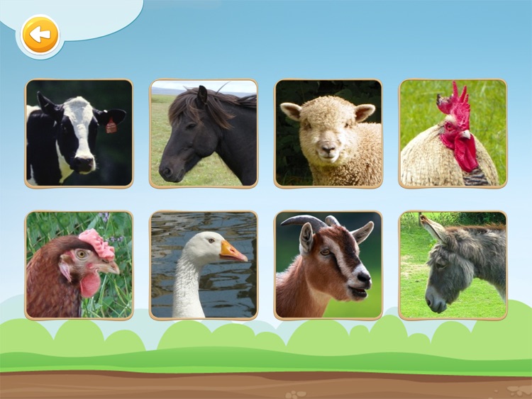 Moooo - Animals Sounds screenshot-3