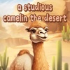 CamelStudying