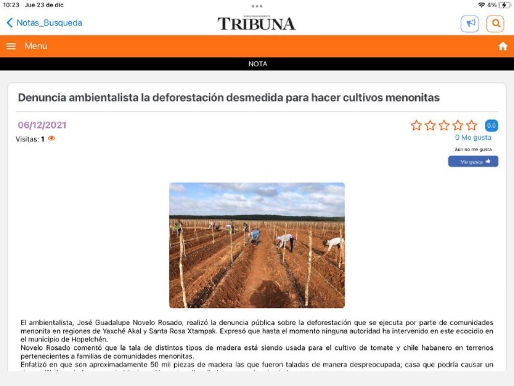 Tribuna Campeche screenshot 3