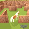 Pony Horse Maze Run