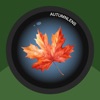 Autumn Lens