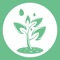 The WaterTimer application allows you to set up irrigation programs, namely spray watering programs or mist watering programs