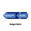 Budget Mistri App Feedback