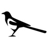 Magpie Stickers