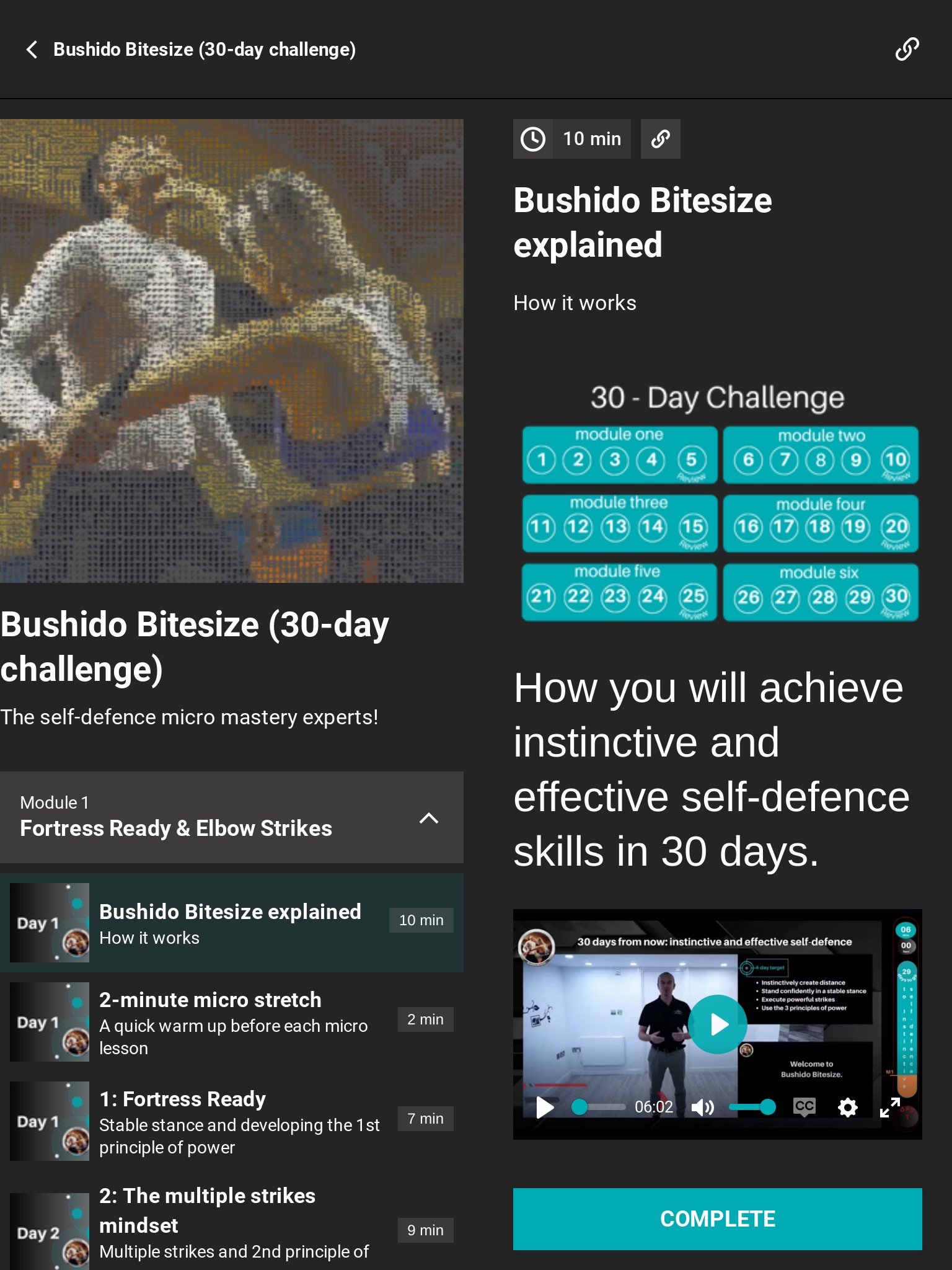 Bushido Bitesize screenshot 3