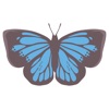 Pop and chic butterfly sticker