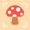 With the mushroom identifier App, identifying mushrooms has never been easier