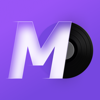 MD Vinyl - Musik-Widgets - Miidii Tech
