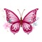 Butterfly Photo Frame Editor:-