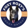 Foxy Roxy's Doggy Dayout