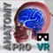 Icon VR Human Anatomy Pro