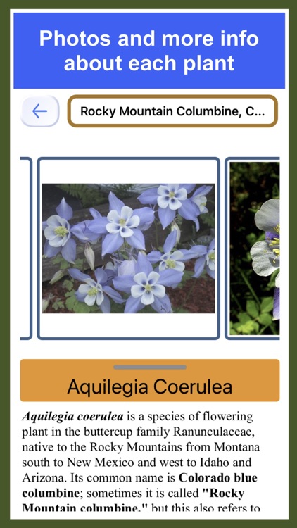 Forest Plant Identification screenshot-5