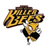 Killer Bees Timer
