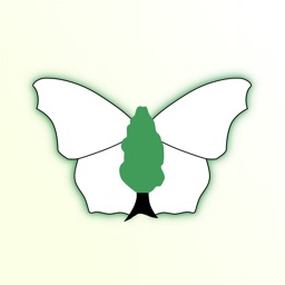 iRecord Butterflies