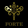 Forte Jewelry