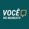 Vc No Mandato