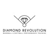 Diamond Revolution