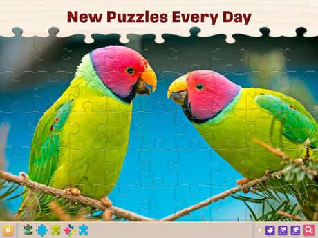 Tips and Tricks for Jigsaw Puzzles for Adults HD