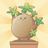 ぷらっち -ホーム画面で育成ゲーム かわいい植物を育てよう！