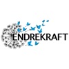 Endrekraft