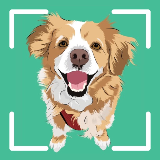 Dog Identifier - Puppy Scanner Icon