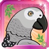 Fancy Parrot Dress Up Game