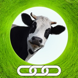 Spark Cow