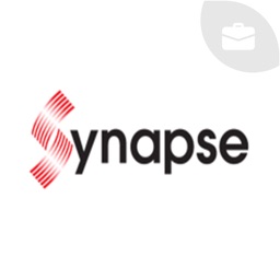 Synapse Distribution