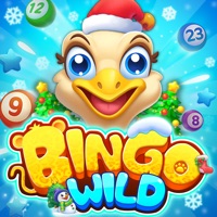 Bingo Wild app not working? crashes or has problems?