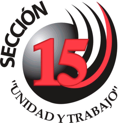 Sección 15