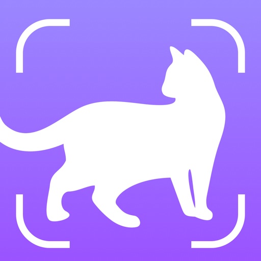 猫咪扫描仪:宠物识别通过照片和人宠交流器/