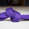 ROYDEAN TV LLC - Purple Belt Requirements 2.0 アートワーク