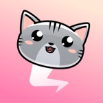 Chonky Cat