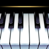 ピアノ　鍵盤　リアル - Yokee Music