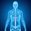 Skeletal System Medical Terms