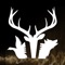 Master the Call is a complimentary resource to wildlife call manufacturers, wildlife calls, and the wildlife calling market