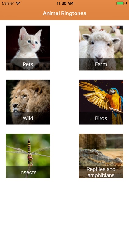 Animal Ringtones & Sounds