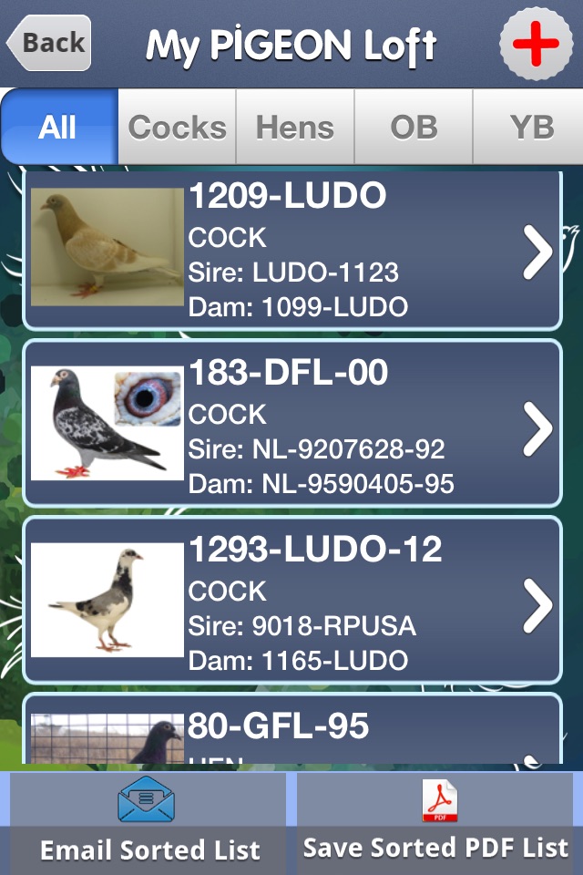 My Pigeon Loft HD screenshot 2