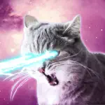 Laser Cats Animated App Cancel