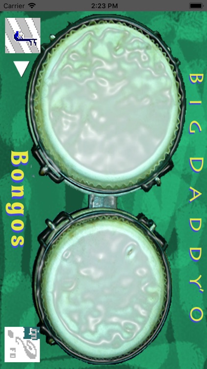 bdBongos