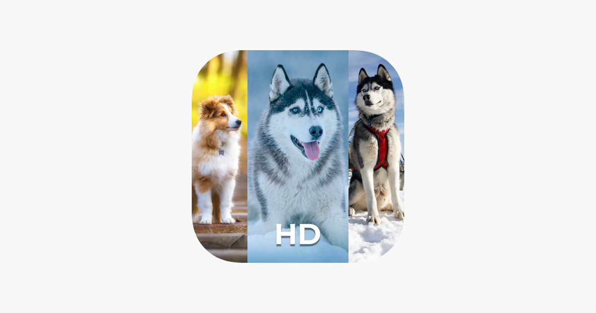 Dog Wallpaper and Backgrounds on the App Store
