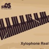 Icon Xylophone Real: 2 mallet types
