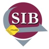 SIB91